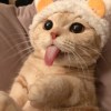 han@@