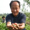 摇智