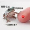 怒怒蛙