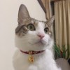 愛愛爸媽紅