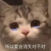 lee5290