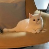 leesungwoo
