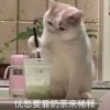 lengshann