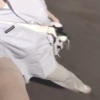 YN