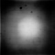 leo2059186