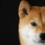 leon_wun