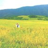 xuan