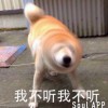 Tong