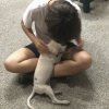 戴蓮恩