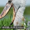 嗯