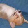 博仔