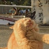 林林拎汽水