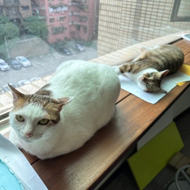 意外