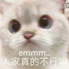 lily9194