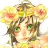 Peony赤