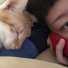 杉杉