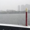 溜溜