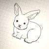 🐰