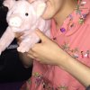 小小小焦