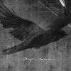 Onyx Raven