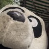 linlin_lu