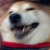 狗