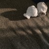 喔