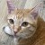 lisa_158