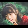 秀吉小太陽