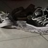 還我爺爺