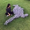 lisa_chen