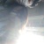 little_9fox