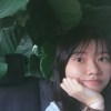 yhl