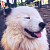little_breeze_50
