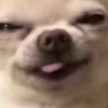 Bobobb