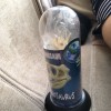 玉兔