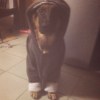 little_Y