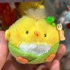 小小煙花