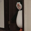littlewang