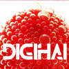 DIGIHAI