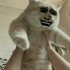 czorr