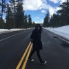 lively_hill_ez