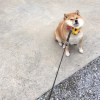 彰化x5