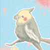 long_feather_dvo