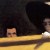 long_tooth_wnz