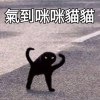 我想學貝斯ಥ_ಥ