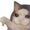 LLL