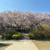 默默