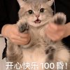 蛋饼