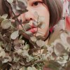 董瑪雅